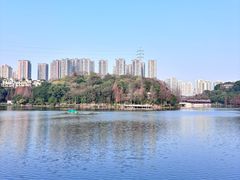-重庆彩云湖湿地公园