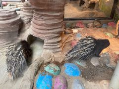-海合安成都极地海洋公园