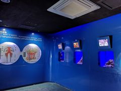 -青岛海底世界-水族馆