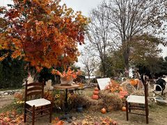 -HERRE·FARM 赫尔露营农场·团建聚会包场