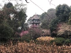 -成都杜甫草堂博物馆