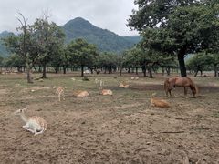 -西安秦岭野生动物园