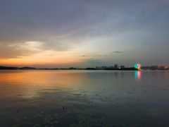 -贡湖湾湿地公园