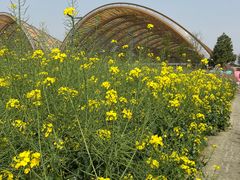 -中国天府农业博览园