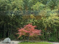 -西安凯悦酒店·湖畔中餐厅