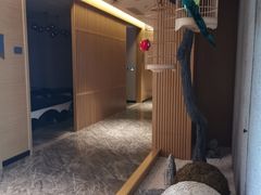 -上鸿汤泉•易营+