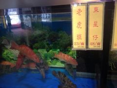 -聚龙酒家(富豪花园店)