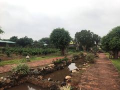 -侯臣咖啡文化村