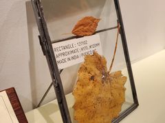 -长春银盐咖啡馆