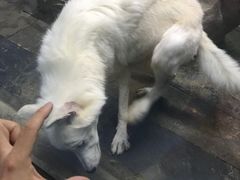 -梦幻海洋王国(吾悦广场张家港店)