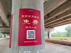 -秀丽东方