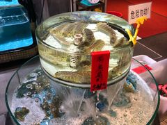 -强记海鲜·大排档(蛇口新街店)
