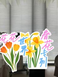 -HYOUNG 禾漾·BTL官方美学中心
