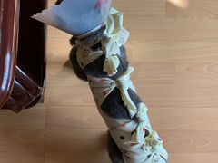-瑞派·关忠动物医院·猫专科·犬专科(三环新城店)