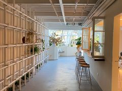 -Lao+ Space