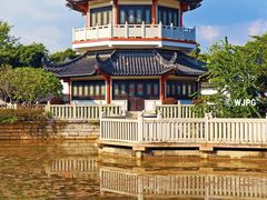 -广东花都湖国家湿地公园