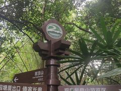-大屏嶂森林公园