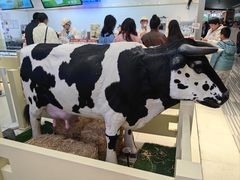 -红星前进面包牛奶公司(君太店)