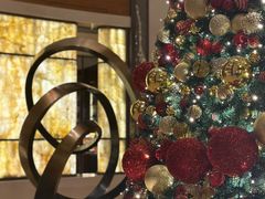 -深圳星河丽思卡尔顿酒店