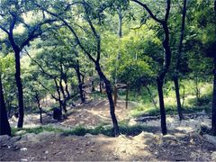 iphone_upload_pic-石老人观光园