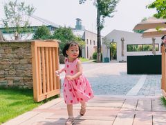 -禧宴Joyous Restaurant(禧园店)