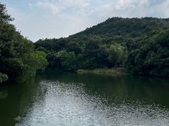 -白马涧龙池景区