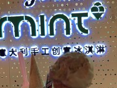 -Mint Gelato(二厂店)