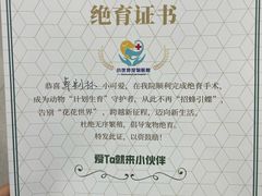 -小伙伴宠物医院·CT·骨科·眼科(高新店)