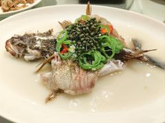 -利苑酒家(金宝店)