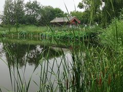 -西海子公园