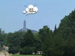 -北坞公园