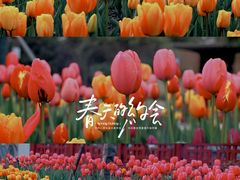 -成都市文化公园