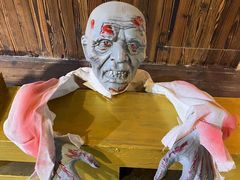 -长藤鬼校(龙翔店)