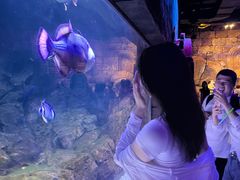 -波塞冬旅游度假区