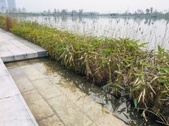 -春申里餐厅(银泰in99店)