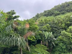 -东澳岛