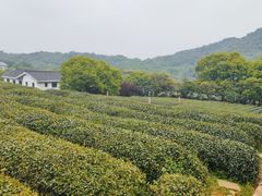 -中国茶叶博物馆(双峰馆区)