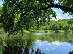 -上海共青森林公园