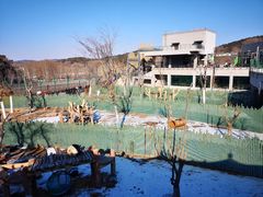 -沈阳森林动物园