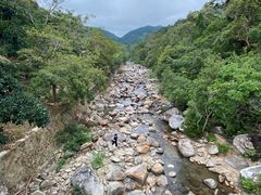 -海南热带雨林国家公园吊罗山景区