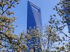 -陆家嘴中心绿地