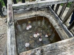 -天芳悦潭度假村温泉