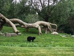 -北京野生动物园