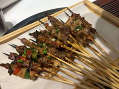 -山野的朋友露营炭火烤肉