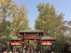 -合肥滨湖国家森林公园