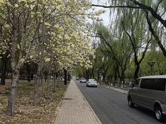 -南长河公园