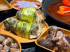 -杨肥肠火锅大排档(火车站花园店)