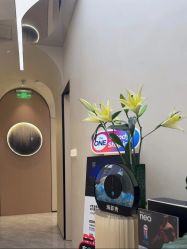 -Fundi张玉珊修身堂·indiba·BTL科技瘦身