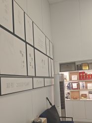 -熙朵美学植发·连锁品牌