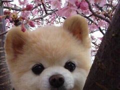 -网鱼电竞·棋牌(五一广场店)